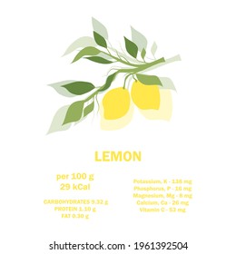 Infographic card about calories of lemon 100g. Vitamins, minerals and calorie content. Flat healthy food concept. Information about nutrition facts lemon fruit. Conceptual healthy nutrition card.