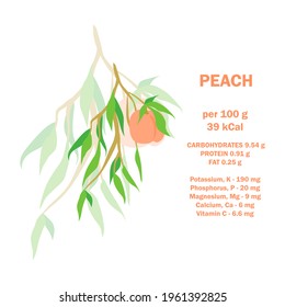 Infographic Card About Calories Of Peach 100g. Vitamins, Minerals And Calorie Content. Flat Healthy Food Concept. Information About Nutrition Facts Peach Fruit. Conceptual Healthy Nutrition Card.