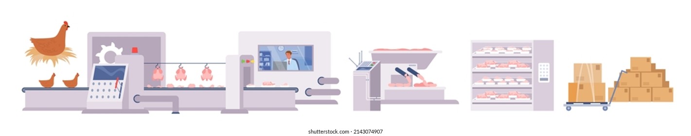 Infographic chain with slaughterhouse, processing of animal meat, refrigeration storage, distribution flat vector illustration. Food industry concept. Chicken production