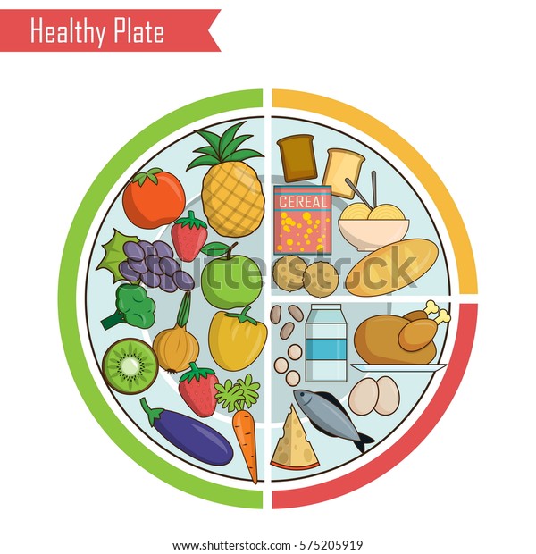 infographic-chart-illustration-healthy-plate-nutrition-stock-vector-royalty-free-575205919