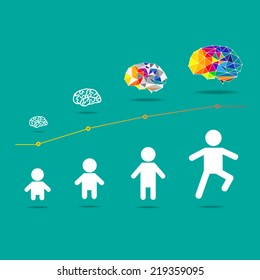infographic Child and Brain development eps 10 vector