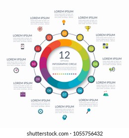 Infographic circle. 12 options, steps, parts. Business concept for diagram, graph, chart. Vector template