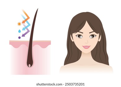 Infografía de la cutícula cerrada Ilustración vectorial de cabello saludable aislada sobre fondo blanco. La mujer con el pelo fuerte, flexible, brillante protege del producto ultravioleta, de la humedad y tóxico.