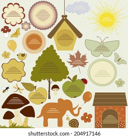 Infographic colorful elements 