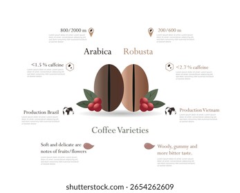 Infographic comparing arabica and robusta coffee beans, highlighting their caffeine levels, ideal growing altitudes, countries of origin - brazil and vietnam - , and distinct flavor profiles