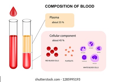 best describes the composition of human blood