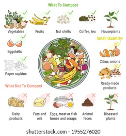 Infografía de la papelera de compostaje con sobras de cocina. Qué hacer o no compostar. No se desperdició comida. Reciclando desechos orgánicos, compost. Vida sustentable, concepto de basura cero. Ilustración vectorial dibujada a mano. 