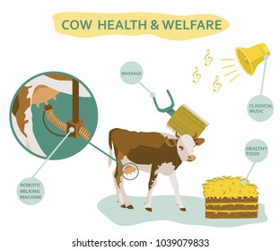Infographic of cow welfare including usage of massage head, healthy food, classical music etc. Healthcare concept. Colored vector illustration isolated on white background
