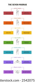 Infographic depicting the seven mudras with descriptions of their significance and practice for meditation and spiritual balance. Colorful vector chart set on plain background with color coded blocks.