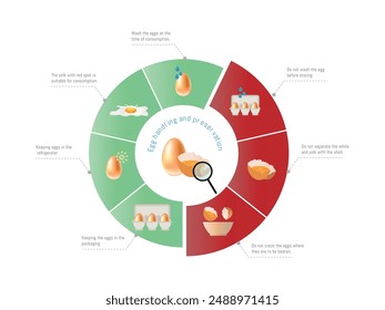 Infographic depicting various tips for handling and preserving eggs, including washing eggs before consumption, refrigerating, and proper cracking methods.