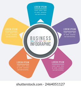 Infographic design 5 steps or options business information colorful template