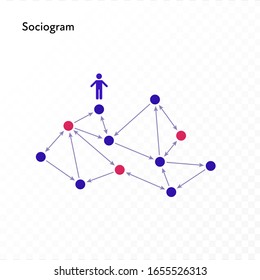 Infographic design element collection. Vector flat color illustration. Sociogram network diagram isolated on white to transparent background. Design for ui, scientific poster, marketing, presentation.