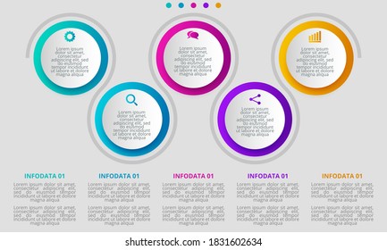 Infographic design on the grey background