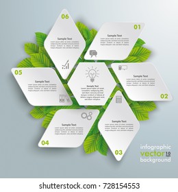 Infographic design with rhombus star and green leaves on the grey background. Eps 10 vector file.