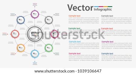 infographic design template circles business concept stock vector