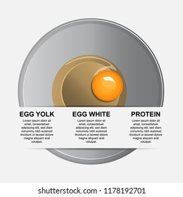 Infographic design template. Vector illustration.