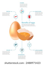 Infographic detailing the health benefits of eggs, including protein, vitamins, healthy fats, choline, antioxidants, and low calories.