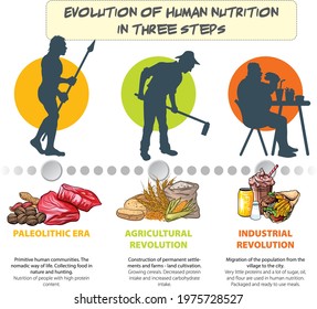 Infographic of the development of human nutrition through history in three steps.