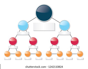 Infographic Diagram Organigram Chart Structure 