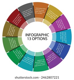 Una infografía que muestra 13 opciones proporciona una manera concisa y visualmente atractiva de presentar información. Mediante el uso de gráficos, iconos y texto mínimo, los espectadores pueden captar rápidamente la gama de opciones