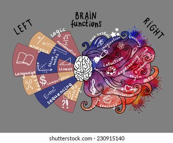 Infographic Elements. Brain concept. Hand drawn brain infographic. Left and right brain functions.