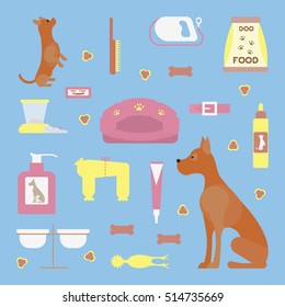 Infographic elements with dog care isolated elements. Pets shop poster vector illustration concept. Vector illustration eps10