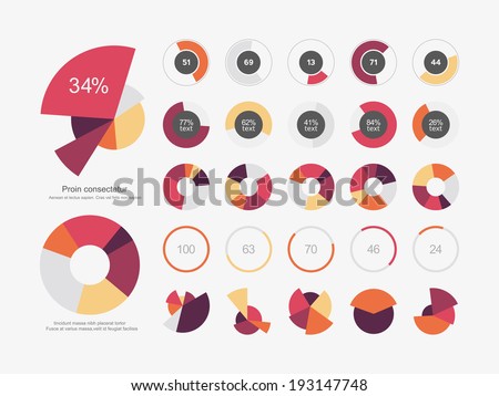 Infographic Elements Pie chart set icon