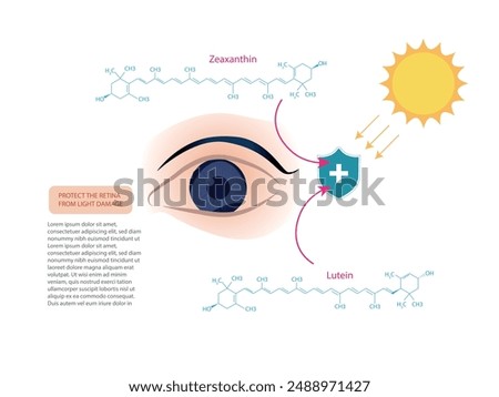 Infographic explaining how zeaxanthin and lutein protect the retina from light damage, including molecular structures and visual elements.