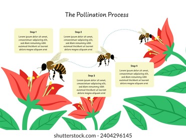 infographic of flower pollination process