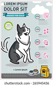 Infographic Food Dog