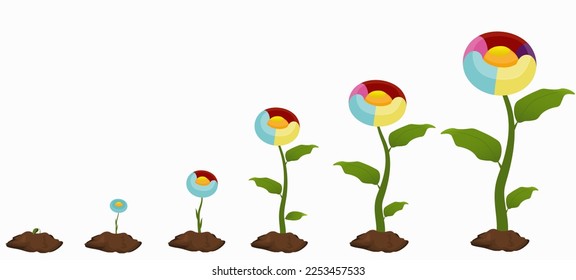 Infographic in the form 6 stages of flower growth