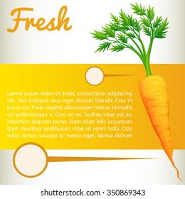 Infographic with fresh carrot illustration