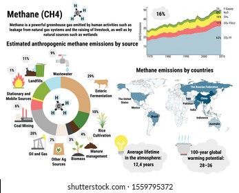 Infographic Of Global Methane Emissions By Countries. Greenhouse Gas Emissions By Economic Sector. Ecological Environment Pollution. Global Warming, Climate Change Vector Infographic.