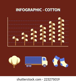 infographic with graph of growth production cotton with icons truck and socks in flat design