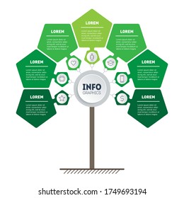Infographic of green technology or education process with 7 points. Template of tree, info chart or diagram. Eco Business presentation concept with seven options.