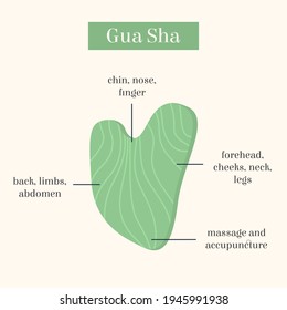 Infographic of Gua Sha Jade scraping massage tool usage. Natural pink rose quartz stone scraper. Chinese traditional facial lifting for woman. Facial acupoints. Vector flat illustration.