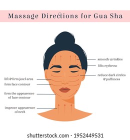 Infographic of gua sha scraper facial yoga. Massage direction for jade roller. Acupuncture anti-aging traditional chinese medicine self care method. Vector flat illustration on white background.