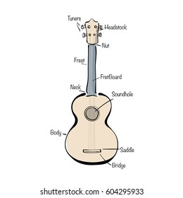 Infographic with hand drawn ukulele. 