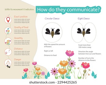 Infographic of how bees communicate, what they communicate and their movements.