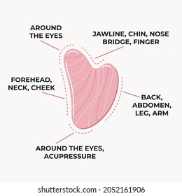 Infographic of how to use gua sha scraping massage stone dolphin shaped is made of rose quartz. Home beauty skin care routine. Chinese skin care concept. Hand drawn vector illustration.
