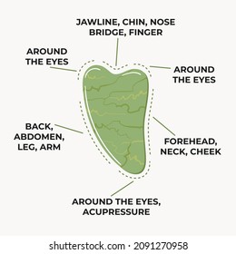 Infographic of how to use gua sha scraping massage stone heart shaped is made of green jade. Home beauty skin care routine. Chinese skin care concept. Hand drawn vector illustration. 