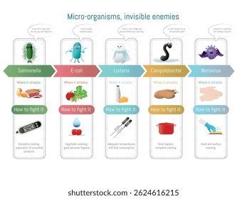 Infográfico que ilustra os agentes patogênicos comuns de origem alimentar, as suas fontes e as medidas preventivas para manter a segurança dos alimentos