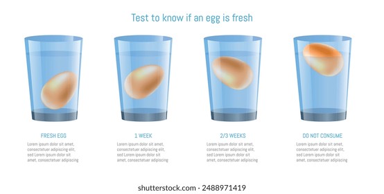 Infographic illustrating the test to determine egg freshness using water immersion, showing stages from fresh to inedible.
