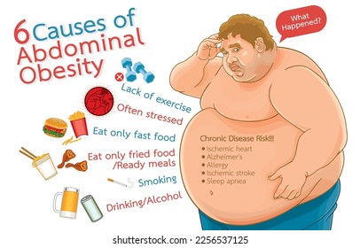 Ilustración infográfica de 6 causas de obesidad abdominal, riesgo crónico de enfermedad, problemas de salud de las personas obesas, aisladas de origen blanco.