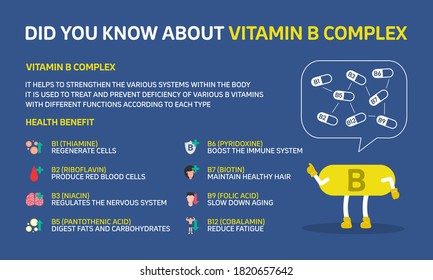 Infographic illustration about Did you know about Vitamin B complex, Health care. Flat design