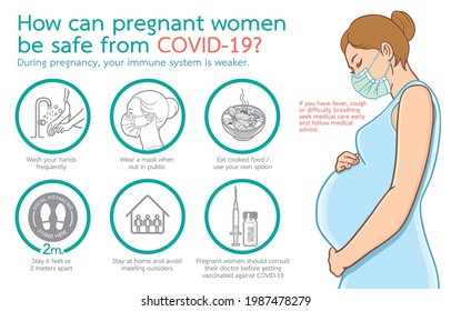 Infographic illustration, How can pregnant women be safe from COVID-19, during the coronavirus outbreak concept. Illustration, Shape, Line, Art, Education and Graphic in vector isolated on background.