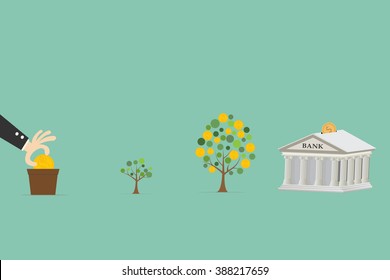 Infographic illustration of investment with money tree in four steps. 