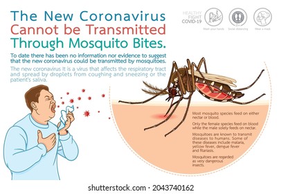 Infographic illustration of the new coronavirus cannot be transmitted through mosquito bites, Coronavirus pandemic in mosquitoes,insects concept, Vector isolated on white background.