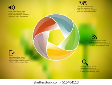 Infographic illustration template with shape of circle divided to five parts with various shade colors. Background is blurred photo with nature field with two poppy flowers motif.