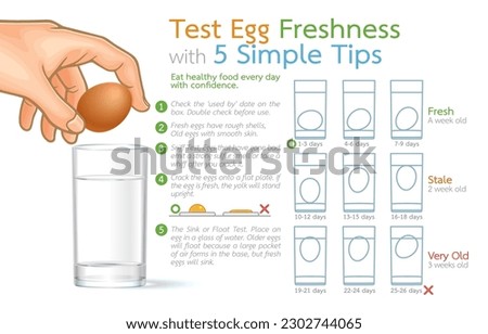 Infographic illustration of test egg freshness with 5 simple tips,eat healthy food every day with confidence.isolated on white background.Secrets to Maintain Nutrition with High-Quality Protein.
